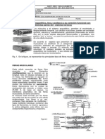 Guia Complementaria Musculo y Contracción Muscular