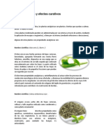 Plantas Medicinales