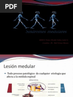 Síndromes Medulares