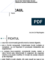 Ficatul