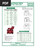 CI Check Valve