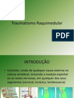 Traumatismo Raquimedular