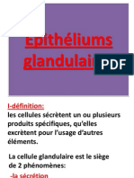 2 Copie de - Pith - TJREliums Glandulaires