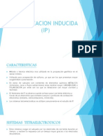 IP-polarizacion inducida-ALAN CHOQUECAHUA VENTURA PDF