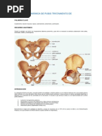 Osteopatía Dinámica de Pubis PDF