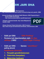 Sidik Jari Dna