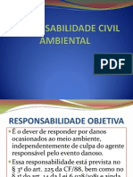 Responsabilidade Civil Ambiental