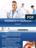 Epididimitis Dan Salpingitis