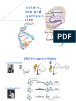 Webb - DNA 1