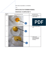 Hasil Pengamatan Embrio Bebek (1-7)