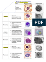 Planche Cellules Immunitaires