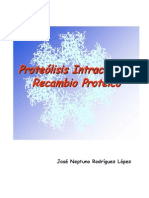 Proteolisis Intracelular Recambio Proteico