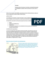 Artrosis Acromioclavicular y Ejercicios