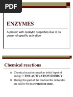 Enzymes 11