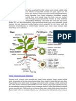 BOTANI Presentasi