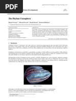 The Phylum Ctenophora