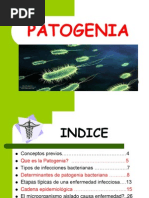 Patogenia 111207192334 Phpapp01