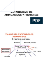 Metabolismo de Aminoacidos y Proteinas