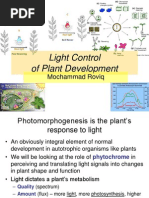 #2 MRQ - Phytochrome and Light Control