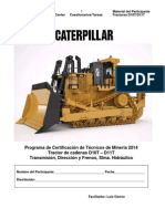 D10T-D11T Participante PII PDF