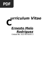 Curriculum Ernesto