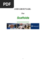 Scaffolds: Anid Group Sarl For