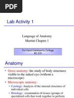 Lab Activity 1: Language of Anatomy Martini Chapter 1