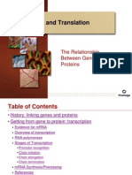 Transcription and Translation: The Relationship Between Genes and Proteins