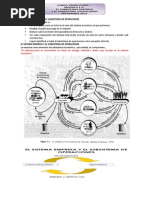 El Sistema Empresa y El Subsistema de Operaciones