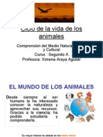 Ciclo de La Vida de Los Animales