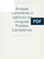 Avispas Cartoneras o Cabocos en Uruguay. Polistes Canadensis