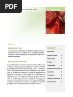 PAE Apendicitis