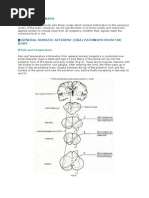 Sensory Pathways