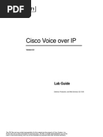 CVOICE60LG Secured PDF