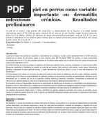 El PH de La Piel en Perros Como Variable Fisiológica Importante en Dermatitis Infecciosas Crónicas