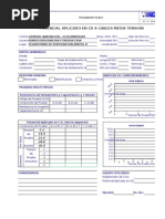 Formato Pruebas Hi - Pot