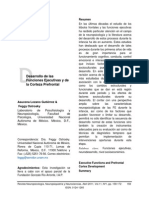 Desarrollo de Las FE y CPF