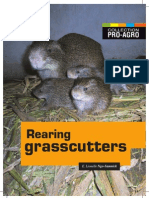 Grasscutter