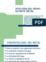 Fisiopatologia Del Reino Mutante Metal Clase 5