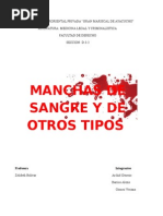 Manchas de Sangre y Otros Tipos