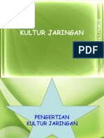 Kultur Jaringan