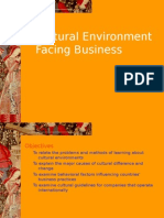 Cultural Environment Facing Business