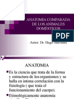 Anatomia Comparada de Los Animales Dometicos