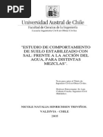 Estudio de Comportamiento de Suelo Estabilizado Con Sal Frente A La Acción Del Agua, para Distintas Mezclas PDF