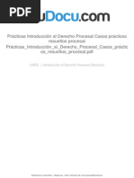 Prácticas Introducción Al Derecho Procesal Casos Prácticos Resueltos Procesal