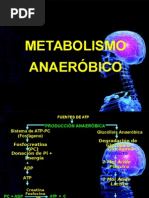 Metabolismo Anaerobico