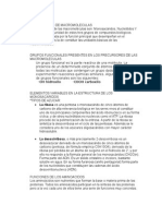 Precursores de Macromoleculas