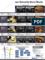 Lower Extremity Nerve Blocks NYSORA