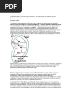 Acupuntura Según El Protocolo NADA