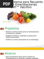 Sistema para Recuento de Enterobacterias 3MT™ Petrifilm